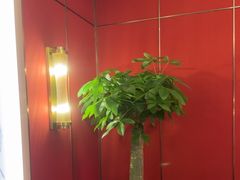 -紫阳富豪大酒店(惠南店)