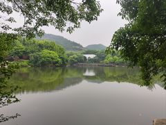 -白马涧龙池景区