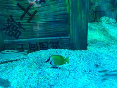 -沈阳海洋探索中心