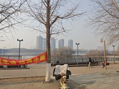 -长白岛森林公园