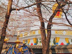 -护国法轮寺