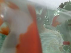 -辛玛王国游乐园