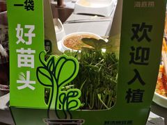 -海底捞火锅(方塔东街店)