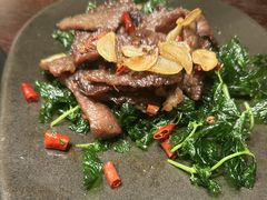 -滇野云南野生菌餐厅(陕西南路店)