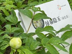 -太阳宫公园