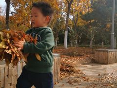 -大兴滨河森林公园