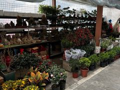 -苏州艺都古玩花鸟市场