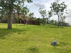 -白石龙音乐公园