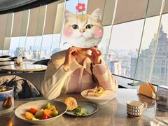 -Hi City·城市之巅