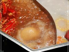 -新草堂锅物料理(泉城路店)