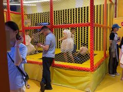 -不可思议减压馆·解压博物馆·摔碗发泄·团建定制