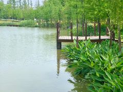 -上海长兴岛郊野公园