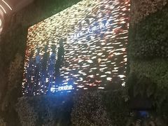 -浦乐汇·汤泉水世界
