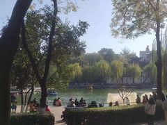 -莲湖公园