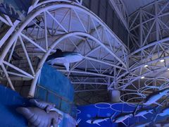 -烟台海昌鲸鲨海洋公园