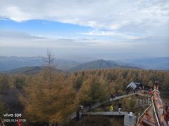 -苏木山森林公园