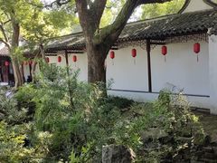 -上海醉白池公园