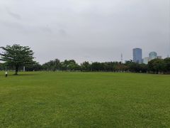 -万绿园