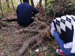 -青龙山国家森林公园