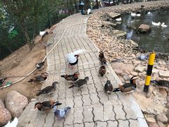 -西霞口神雕山野生动物世界