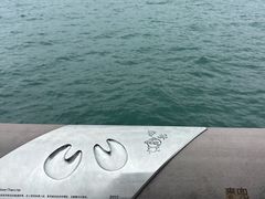 -星光大道