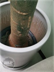 -联合丽格·张菡丽格医疗美容