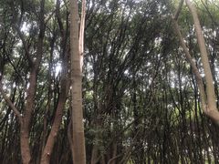 -同里国家湿地公园