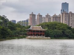 -顺峰山公园