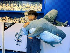 -东莞松山湖万象汇