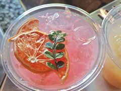 -J Create城市露营咖啡·简餐·宠物(上海动物园店)