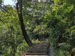 -岳麓山风景名胜区