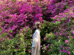 -南山风景名胜区