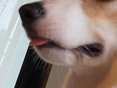 -暗黑魔法·玄灵未妖阁·塔罗·占星·心理咨询