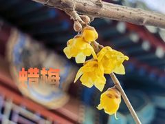 -月坛公园
