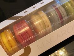 -罗森尼娜(德思勤店)