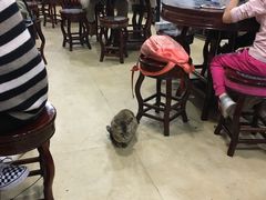 大堂-兴兴旺·冬瓜盅·啫啫煲(西华路店)