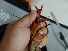 -同銮特种养殖场·龙虾垂钓