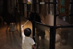 -酷嗒动物文化乐园(cutezoo西溪乐天城店)