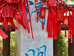 -游子山休闲旅游区