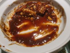 -三强鸽子(中原路店)
