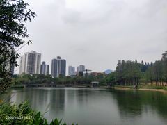 -四海公园(南山区)