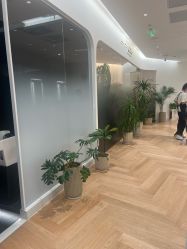 -程Studio