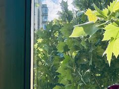 -后院儿·精酿·塔罗Happy Bar