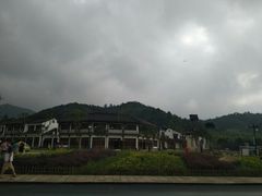 -长兴慧子土特产茶行