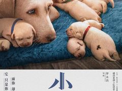 -CGV星星影城(颐堤港ScreenX店)