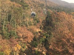 -紫金山索道-售票处