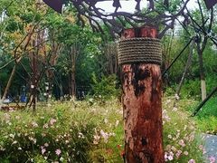 -回龙观体育文化公园