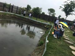 -南汇新场正宗水蜜桃采摘