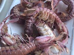 -胖大嫂渔家排档·全海景餐厅(渔村店)