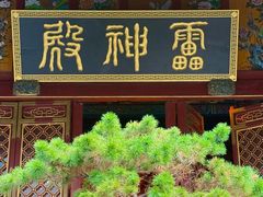 -真庆观
